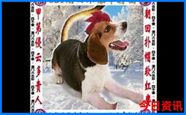 去北京旅游多少钱