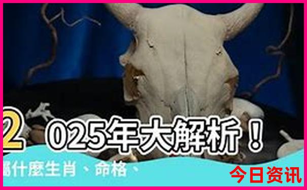 新澳今天晚上9点30开奖直播